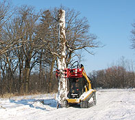The Rock and Tree Hand is being used by Pole Building companies