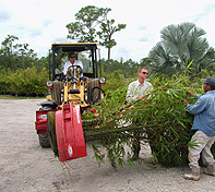 Rotating Pot Handler gives the operator a complete control on the tree.